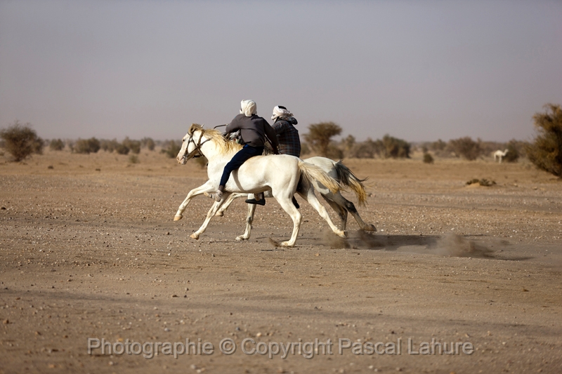 _42I5632_FICSA 2016_Pascal_Lahure.JPG